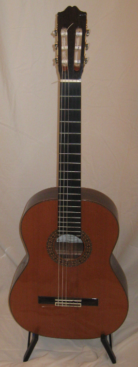 Classical Guitar Picture